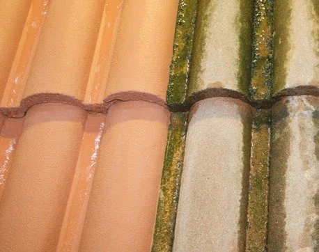 Comparaison avant et après traitement d’une toiture, exemple présenté par DALEP