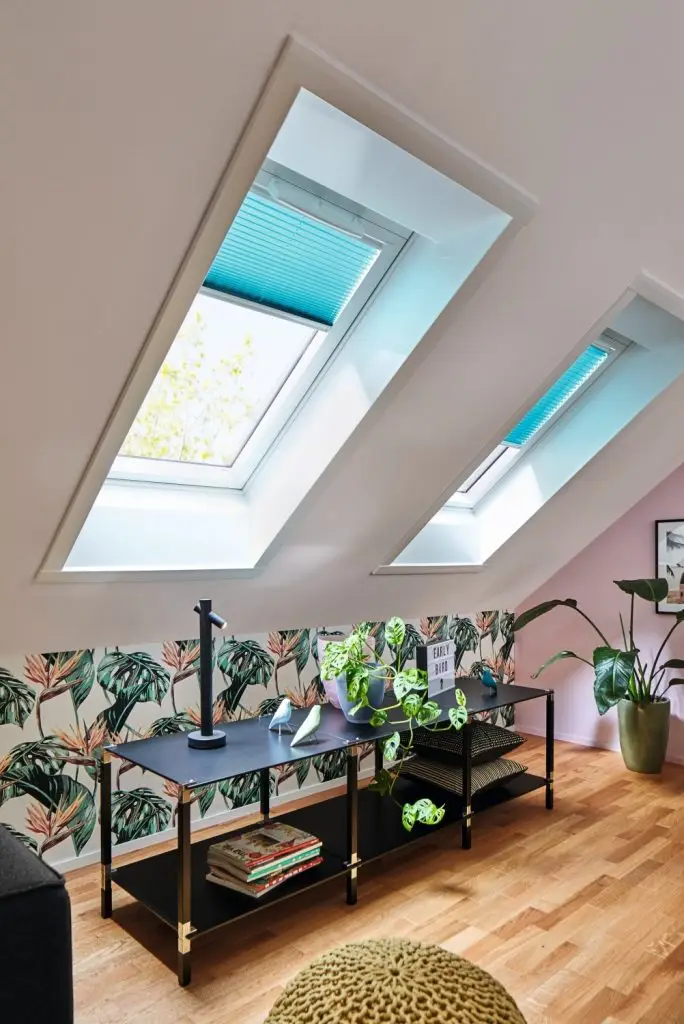 plante salon
