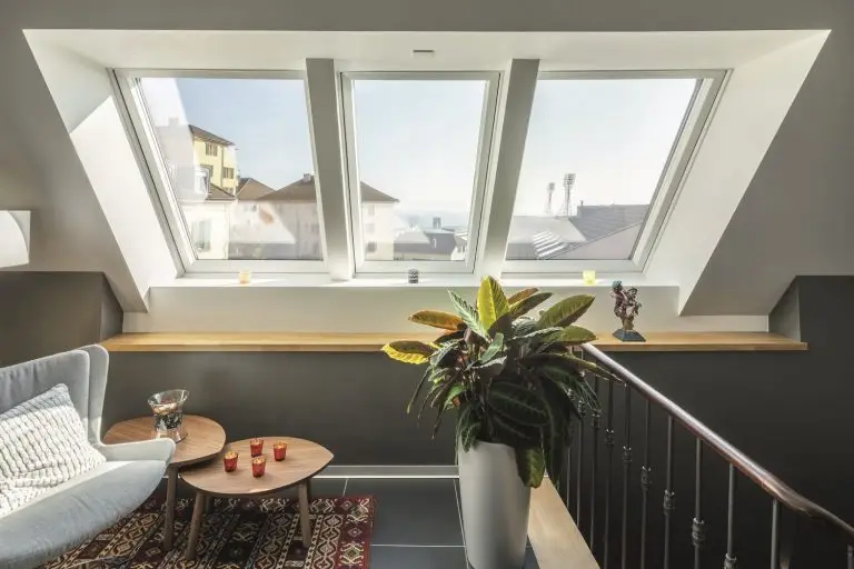 plantes sous fenetres