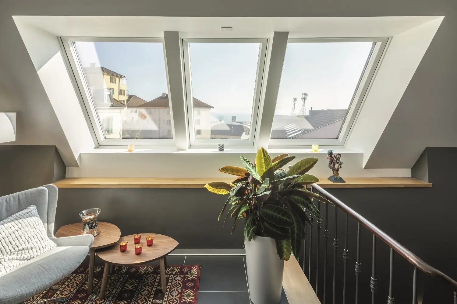 plantes sous fenetres